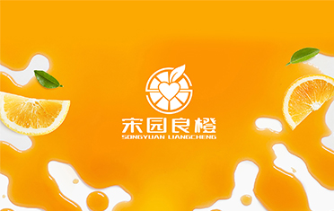 某良橙——南充LOGO设计