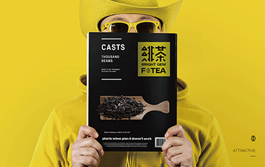 南充绯茶品牌设计